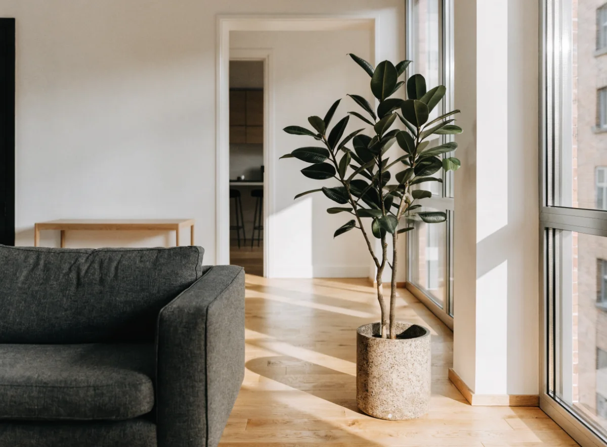 Renoviertes Wohnzimmer in einer Kölner Wohnung